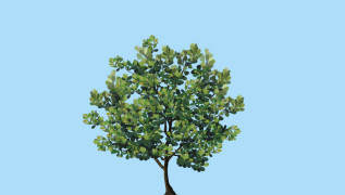 tree 2